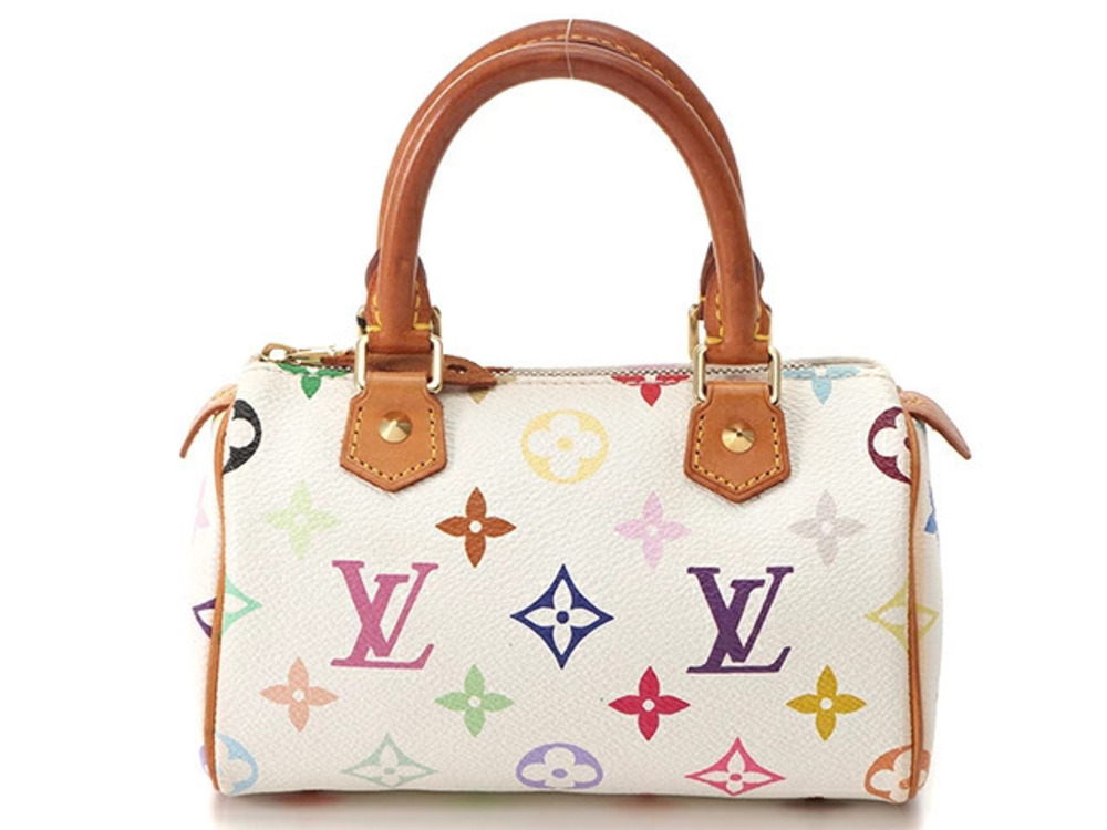 LOUIS VUITTON Speedy Multicolor